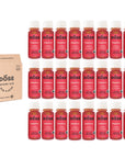 DIGESTION - GINGER & PROBIOTICS - 24 organic cold pressed shots 60ml