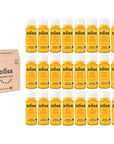 GINGER & TURMERIC - 24 organic cold pressed shots 60ml