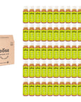 ENERGY - GINGER, LIME & GUAYUSA - 50 cold-pressed shots 60ml