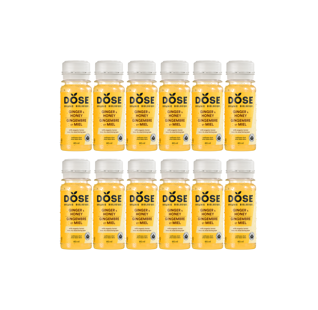 GINGER & HONEY - 12 organic cold pressed shots 60ml