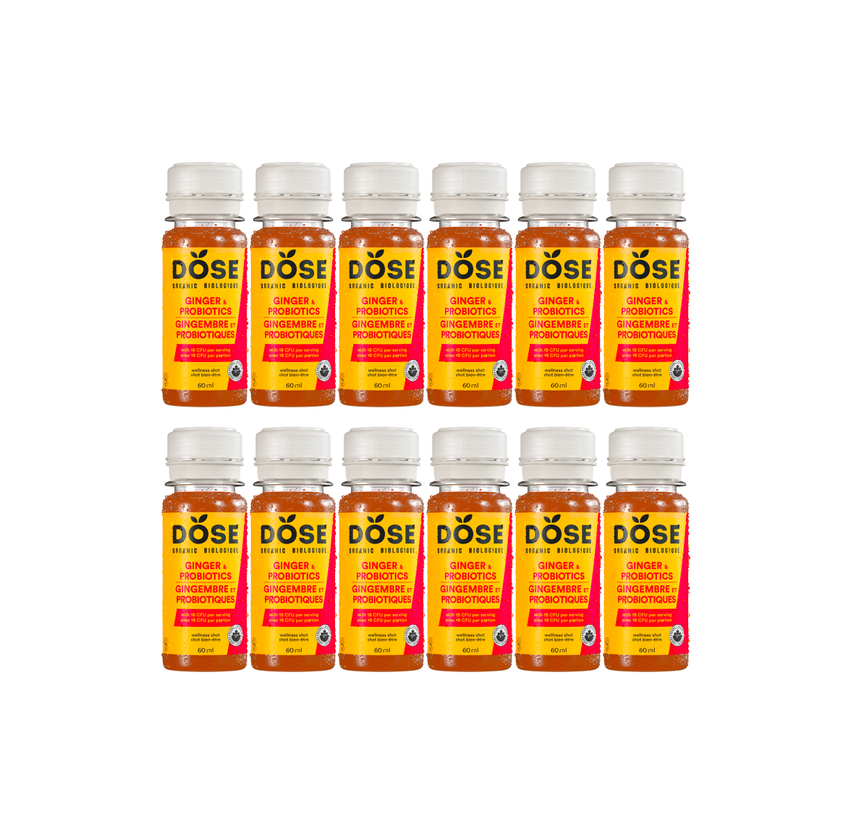 DIGESTION - GINGER & PROBIOTICS - 12 organic cold pressed shots