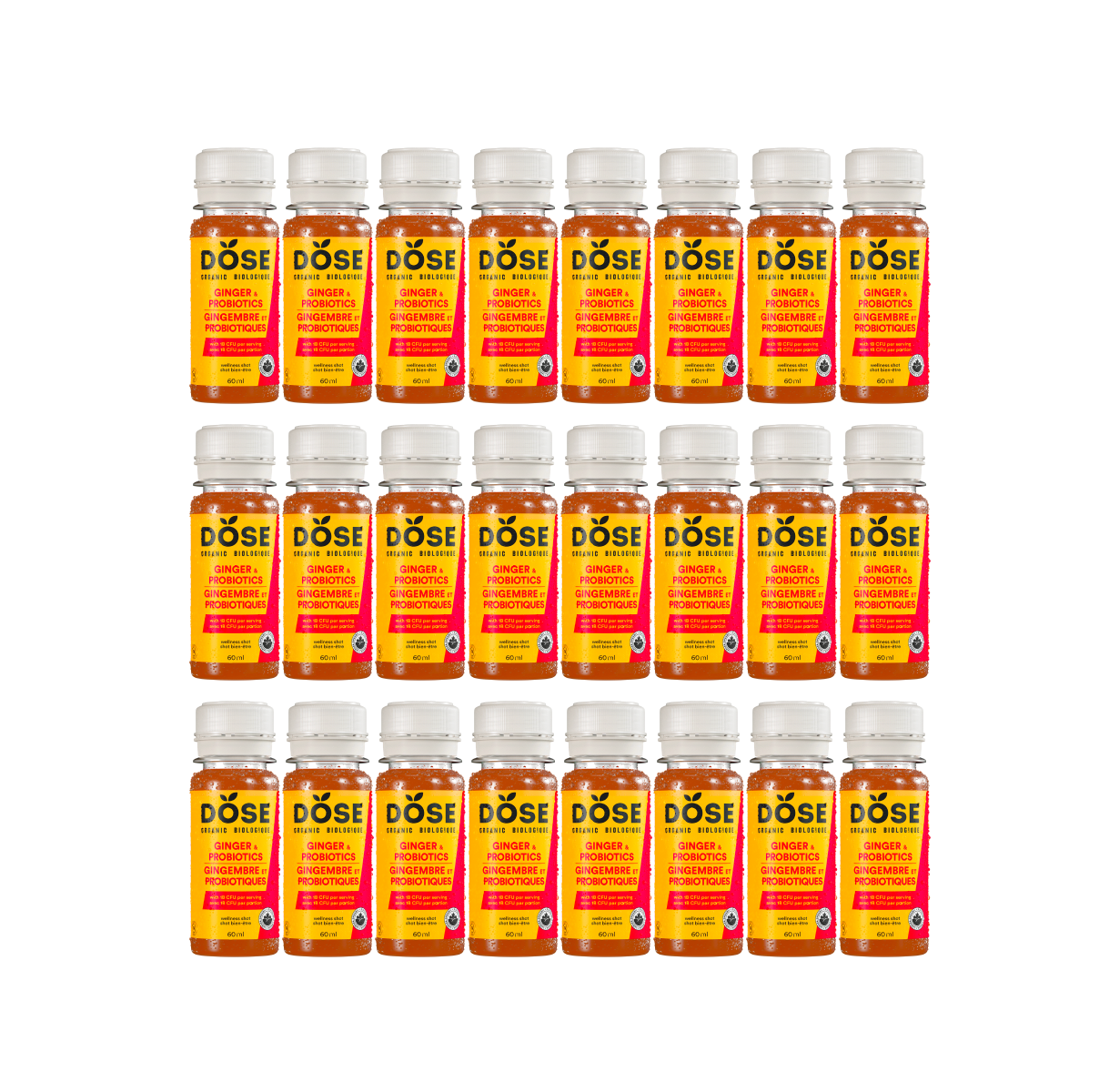 DIGESTION - GINGER & PROBIOTICS - 24 organic cold pressed shots 60ml