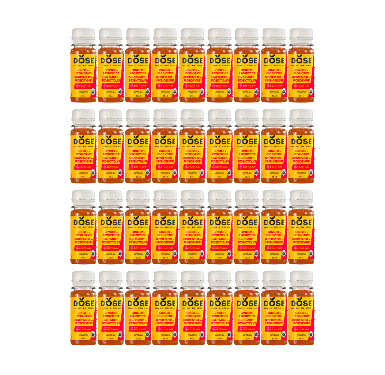 DIGESTION - GINGER & PROBIOTICS - 36 organic cold pressed shots 60ml