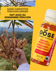 DIGESTION - GINGER & PROBIOTICS - 36 organic cold pressed shots 60ml