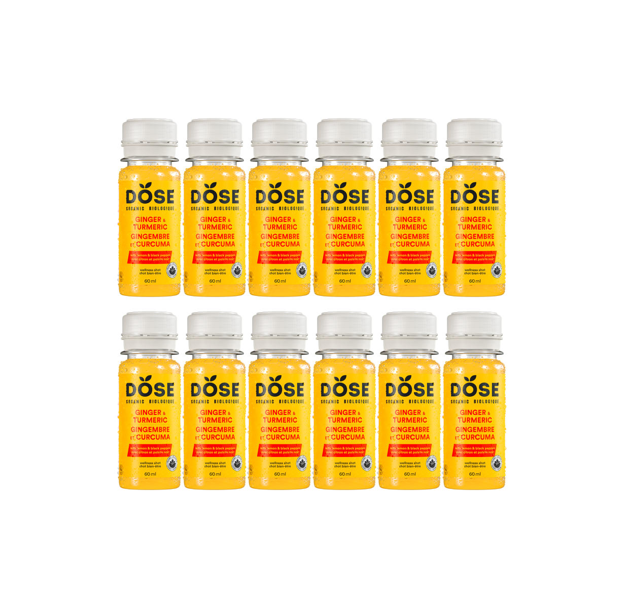 GINGEMBRE & CURCUMA – 12 shots biologiques pressés à froid 60ml - Mensuel