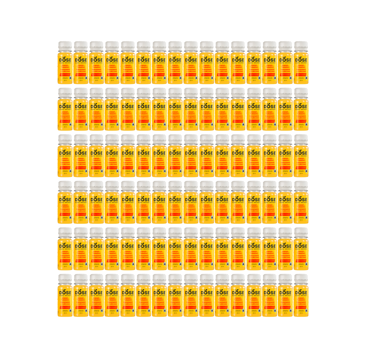 GINGER & TURMERIC – 96 organic cold pressed shots 60ml