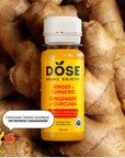 GINGER & TURMERIC – 96 organic cold pressed shots 60ml