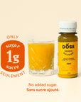 GINGER & TURMERIC - 12 organic cold pressed shots 60ml