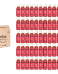 DIGESTION - GINGER & PROBIOTICS - 50 organic cold pressed shots 60ml