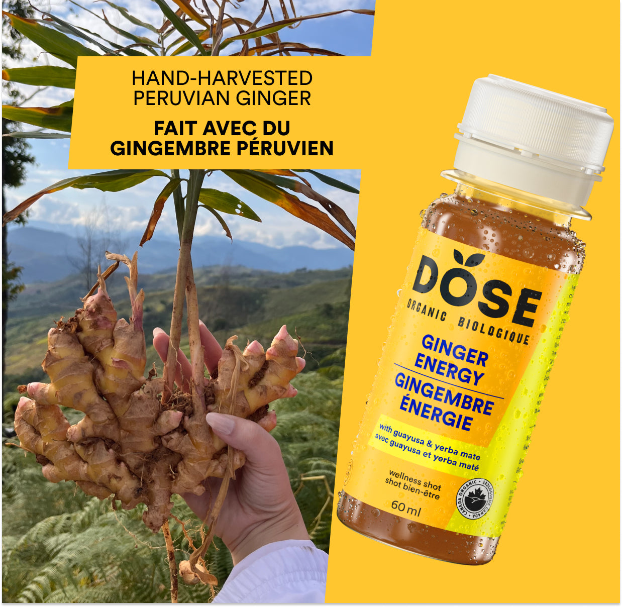 ENERGY 60ml - GINGER LIME &amp; GUAYUSA - cold-pressed shot