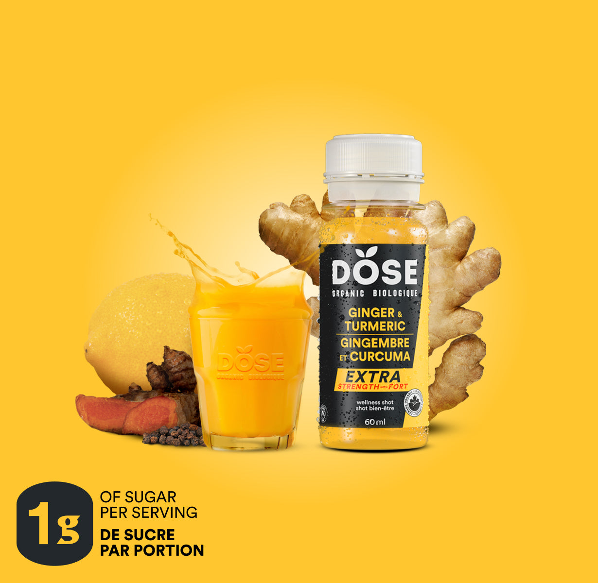 GINGER &amp; TURMERIC EXTRA STRENGTH - 36 organic cold pressed shots 60ml