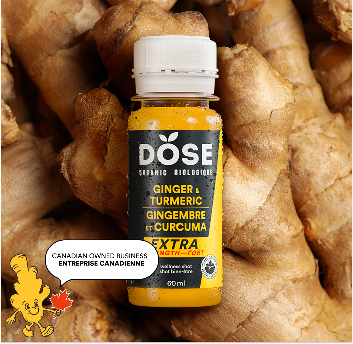 GINGER &amp; TURMERIC EXTRA STRENGTH - 36 organic cold pressed shots 60ml