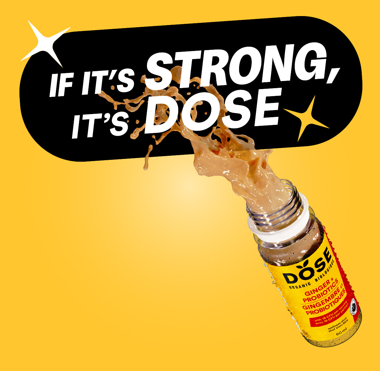 DIGESTION - GINGER &amp; PROBIOTICS - 12 organic cold pressed shots 60ml