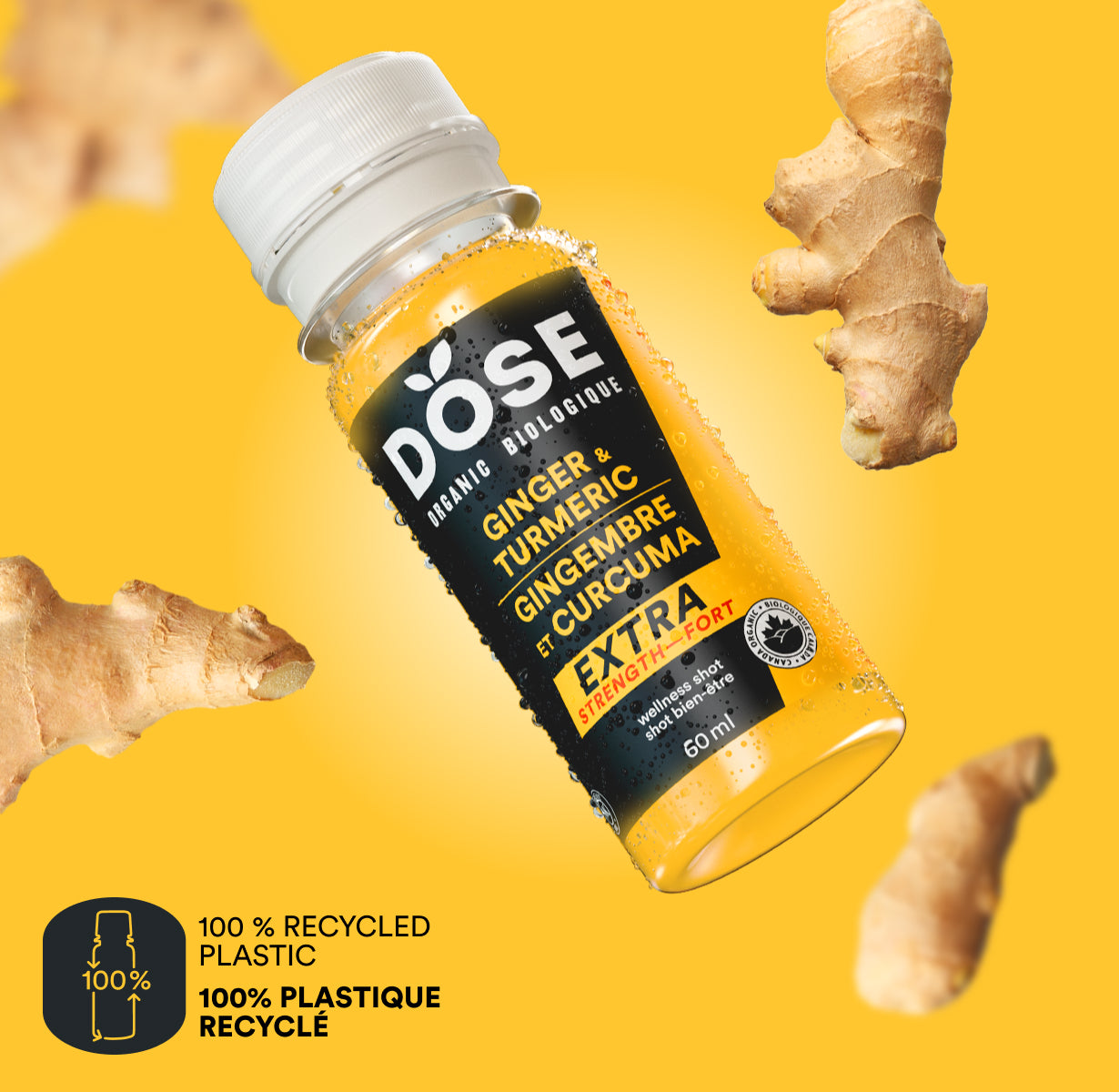 GINGER &amp; TURMERIC EXTRA STRENGTH - 36 organic cold pressed shots 60ml