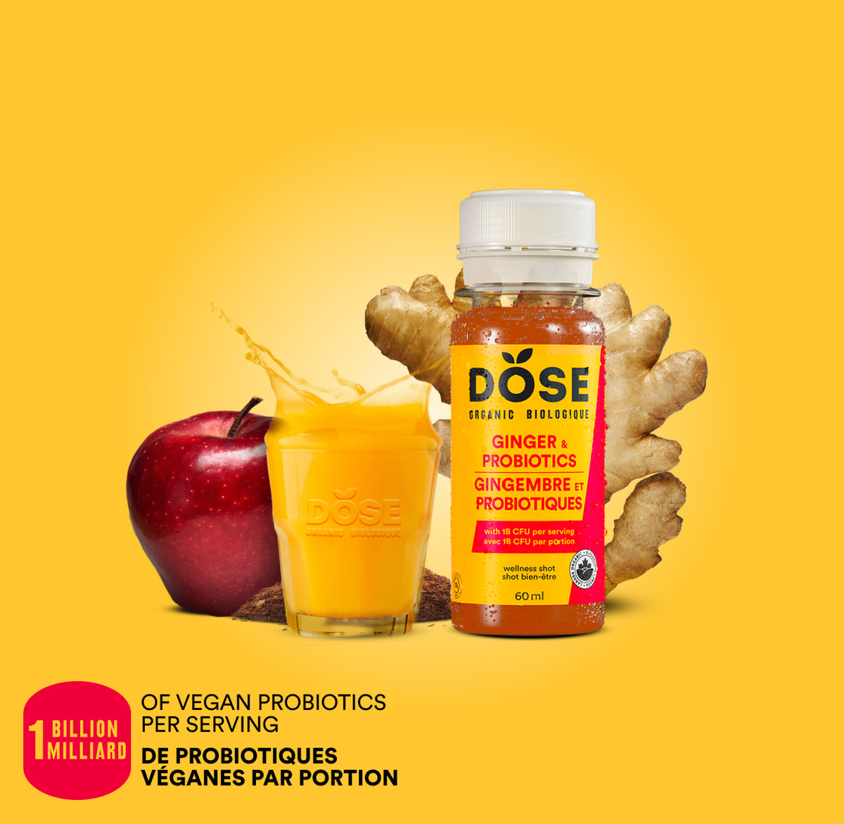 EXPIRATION COURTE - DIGESTION - GINGEMBRE &amp; PROBIOTIQUES - Boîte de 12 shots biologiques pressés à froid 60ml