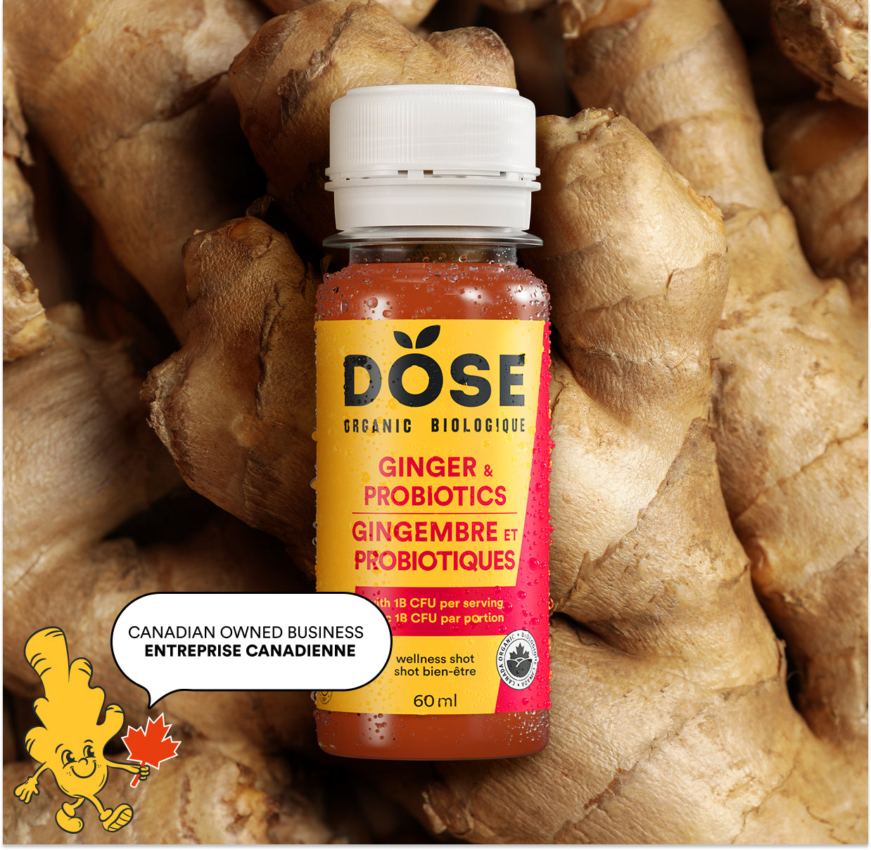 GINGER &amp; PROBIOTICS 60 ml- Organic cold pressed shot