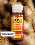 EXPIRATION COURTE - DIGESTION - GINGEMBRE & PROBIOTIQUES - Boîte de 12 shots biologiques pressés à froid 60ml