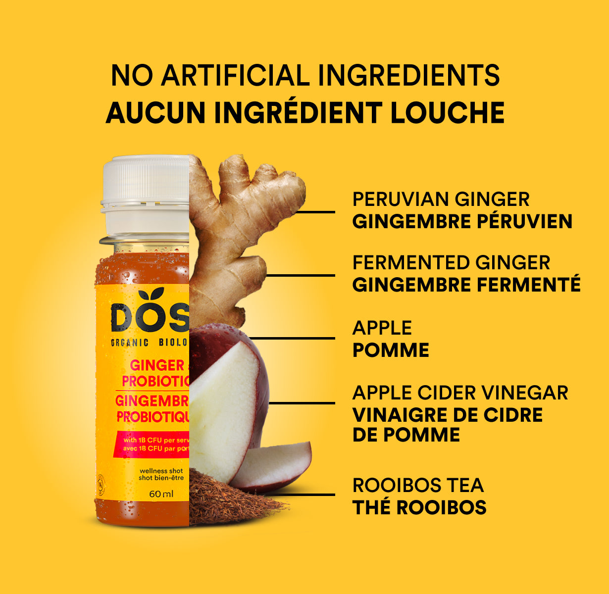 GINGER &amp; PROBIOTICS 60 ml- Organic cold pressed shot