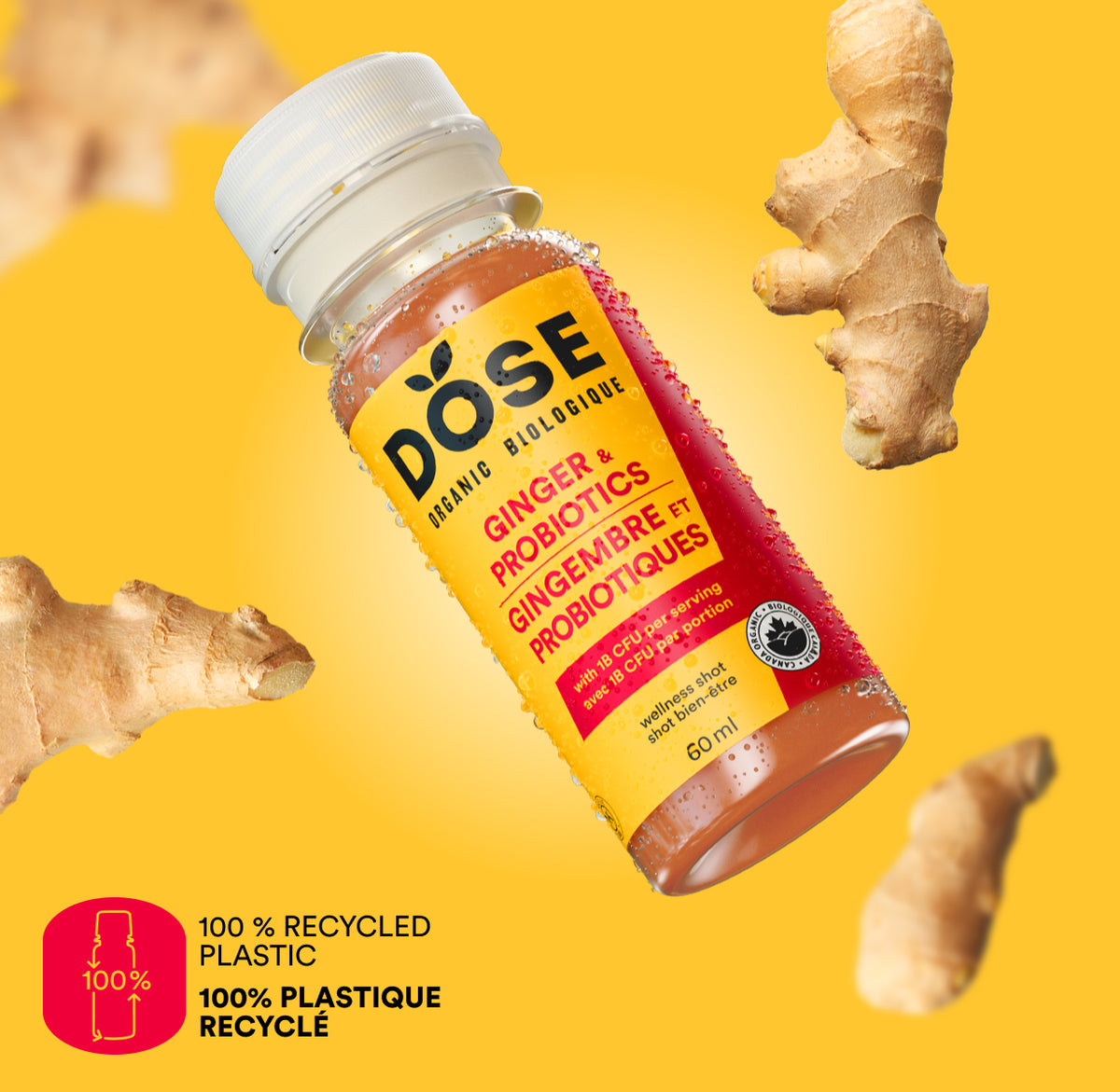 EXPIRATION COURTE - DIGESTION - GINGEMBRE &amp; PROBIOTIQUES - Boîte de 12 shots biologiques pressés à froid 60ml