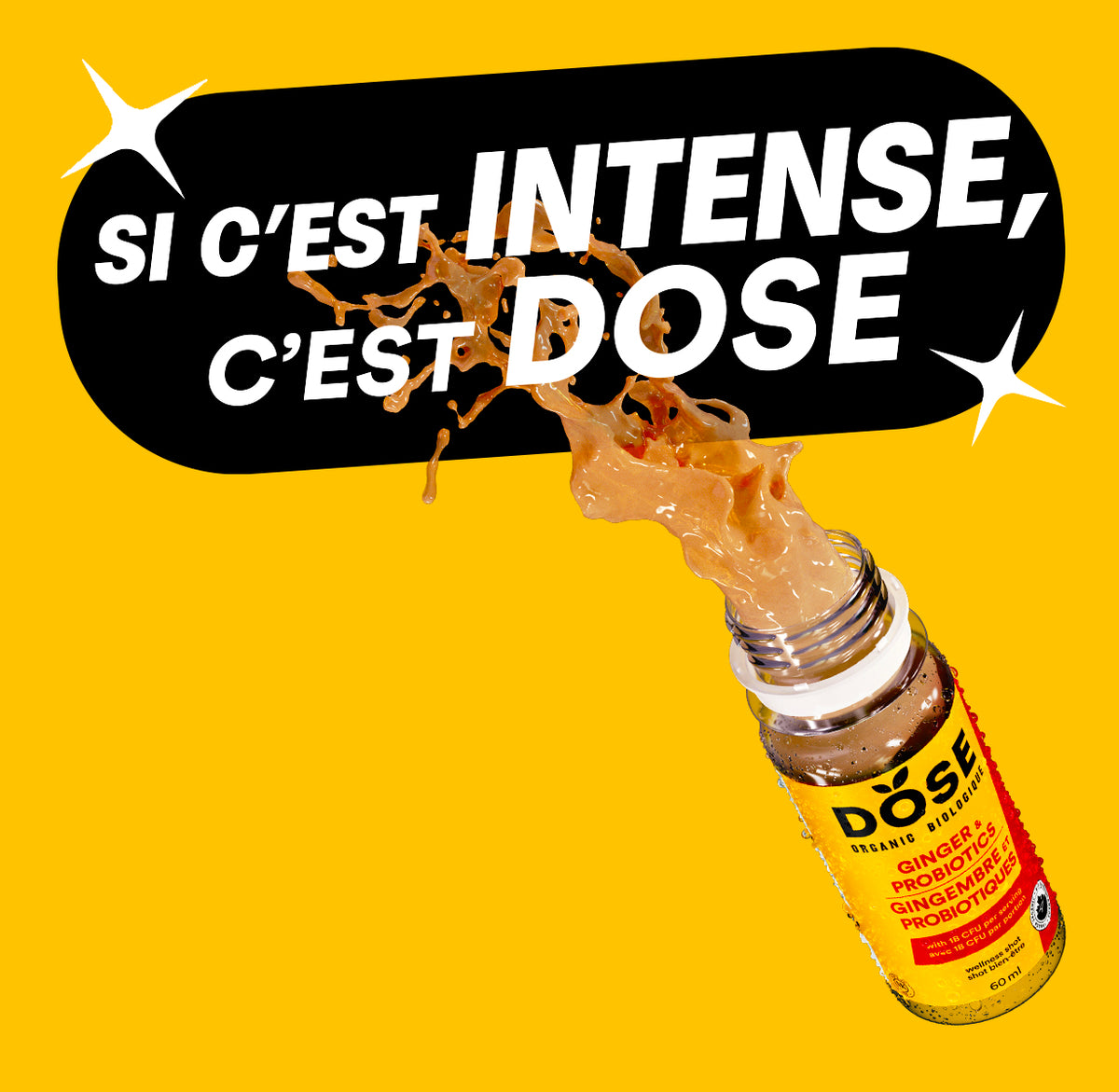 EXPIRATION COURTE - DIGESTION - GINGEMBRE &amp; PROBIOTIQUES - Boîte de 12 shots biologiques pressés à froid 60ml