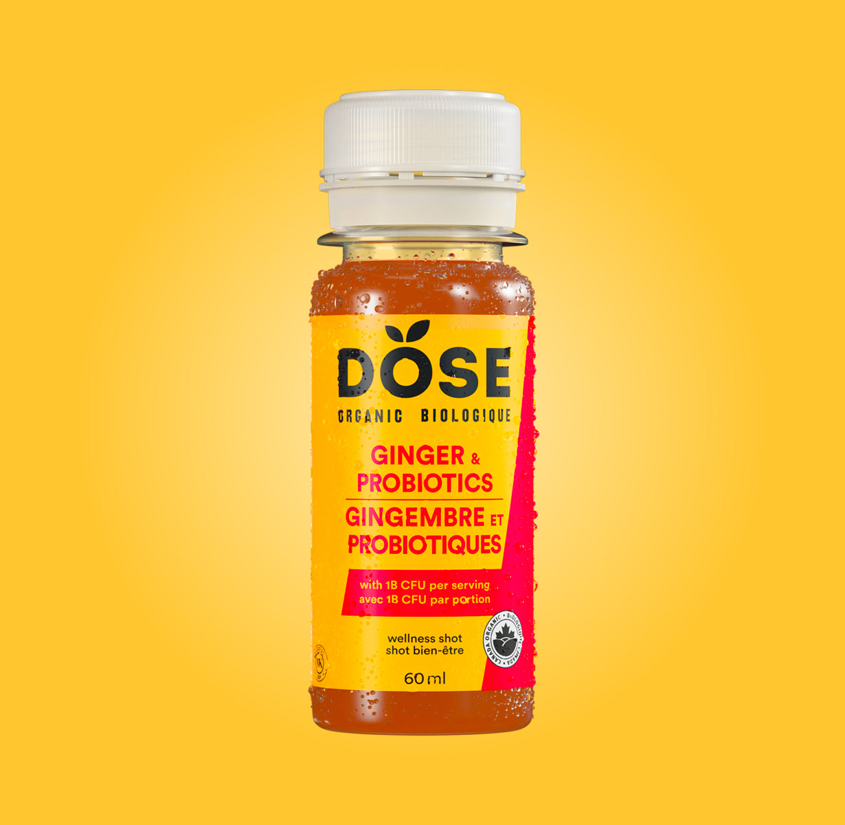 GINGER & PROBIOTICS 60 ml- Organic cold pressed shot