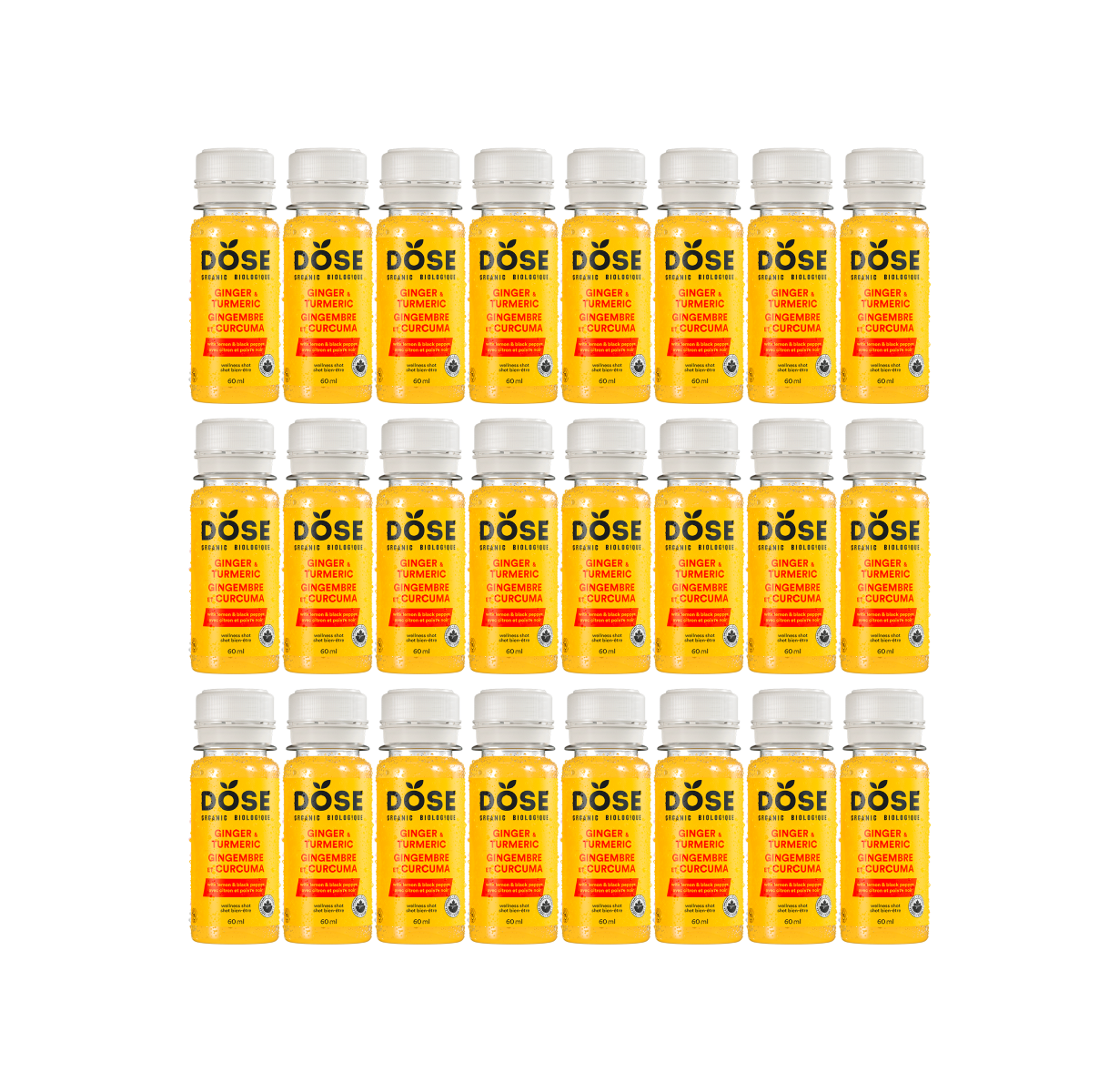GINGER & TURMERIC - 24 organic cold pressed shots 60ml - Dose Juice