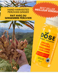 GINGEMBRE & CURCUMA - 96 shots biologiques pressés à froid 60ml