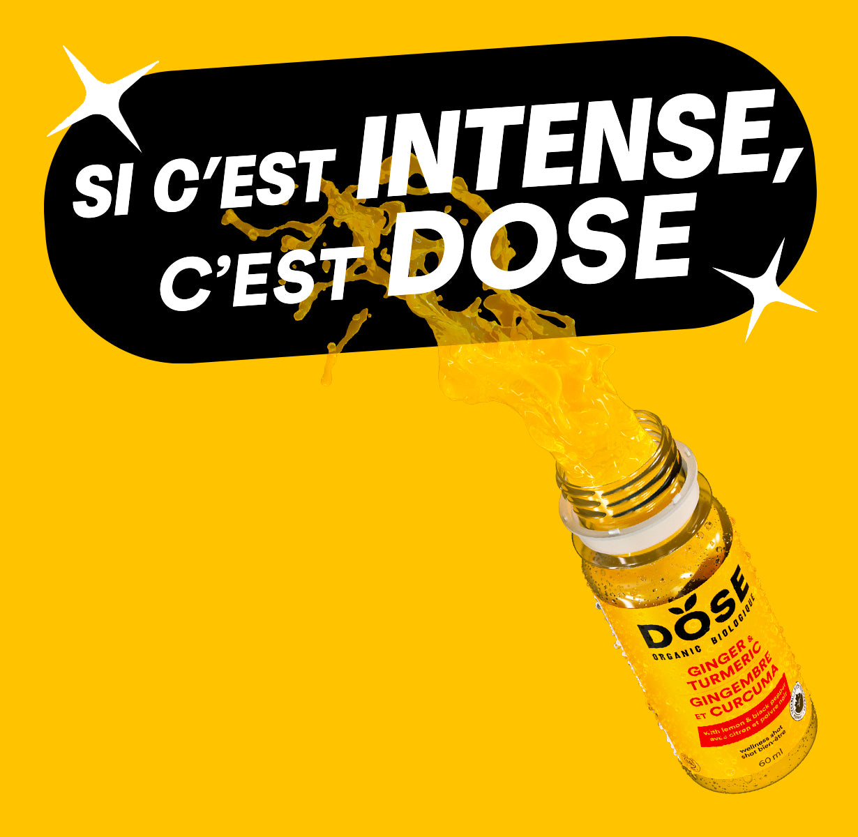 GINGEMBRE &amp; CURCUMA - 96 shots biologiques pressés à froid 60ml