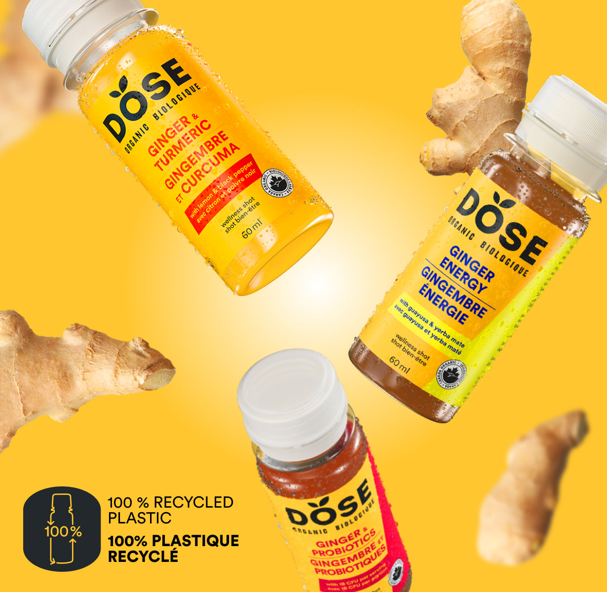 SHOTS VARIETY PACK - 24 cold pressed shots 60ml - Dose Juice