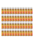 DIGESTION - GINGEMBRE & PROBIOTIQUES - 48 shots biologiques pressés à froid 60ml