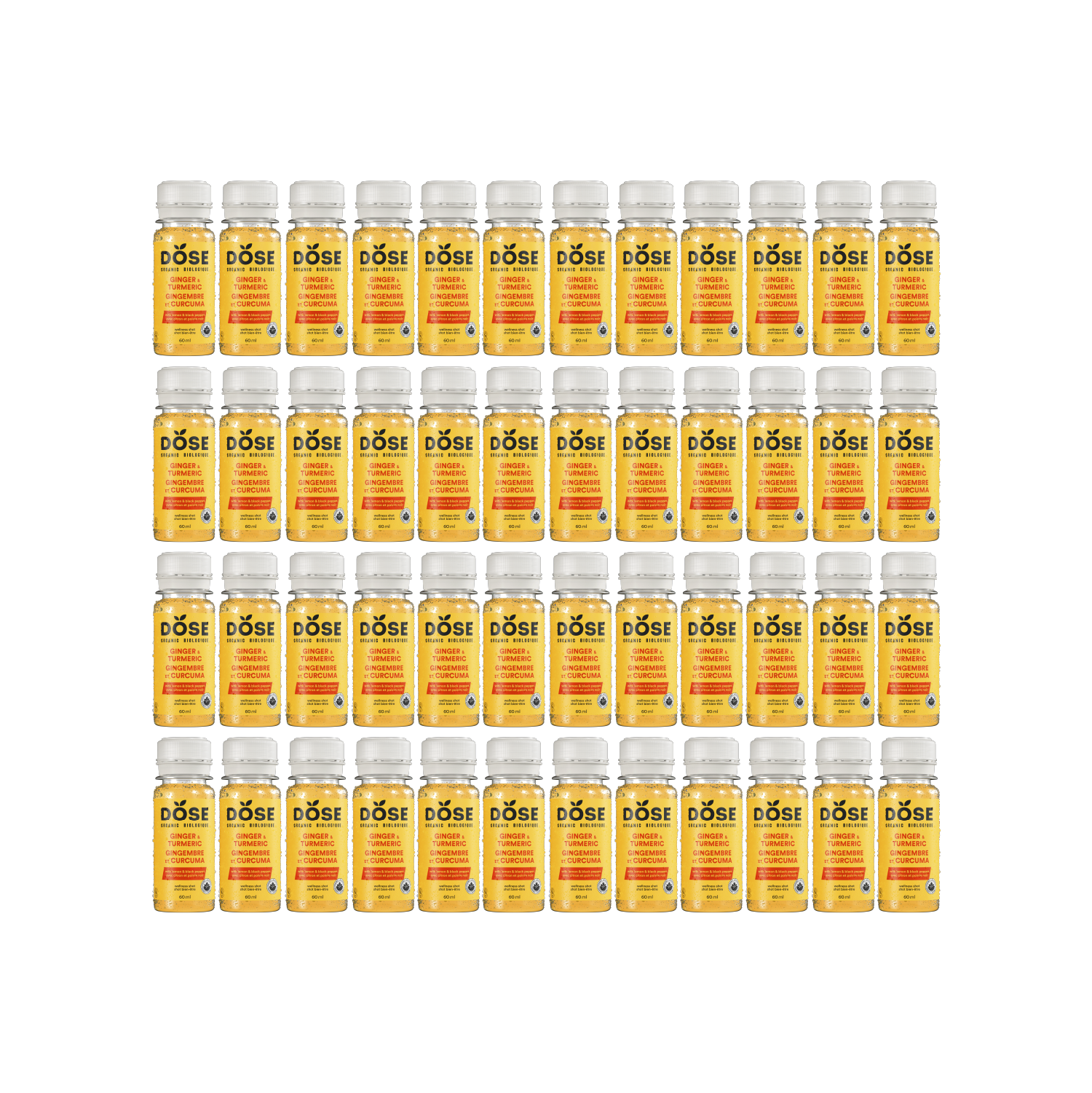 GINGEMBRE &amp; CURCUMA - 48 shots biologiques pressés à froid 60ml