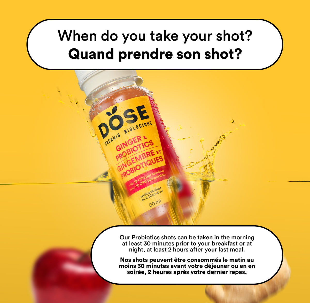EXPIRATION COURTE - DIGESTION - GINGEMBRE &amp; PROBIOTIQUES - Boîte de 12 shots biologiques pressés à froid 60ml