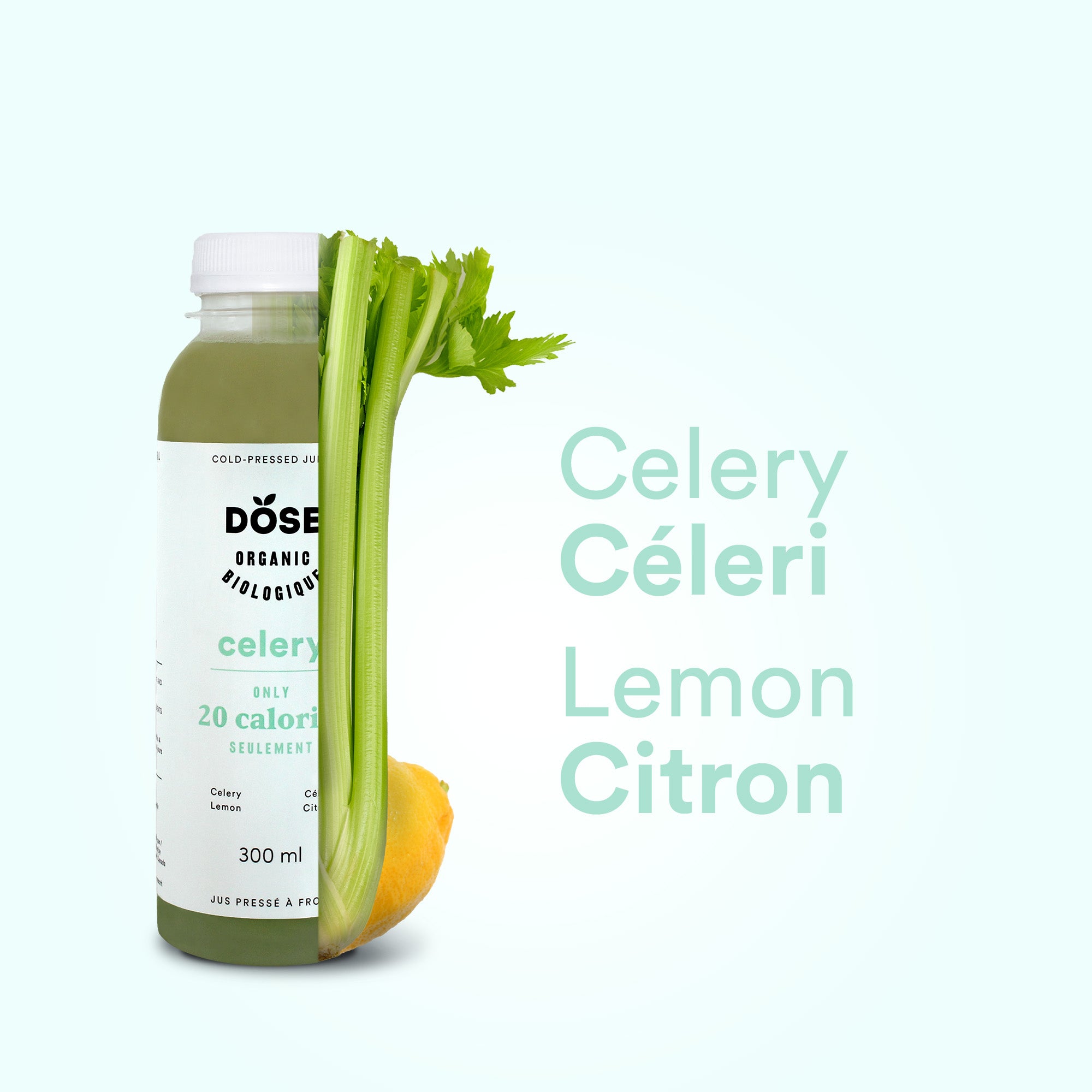CELERY - 14 organic cold pressed juices 300ml