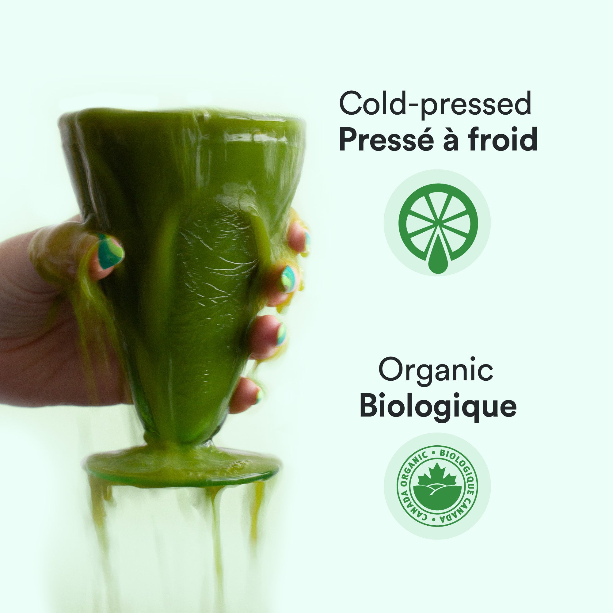 CACTUS – 10 organic cold-pressed juices