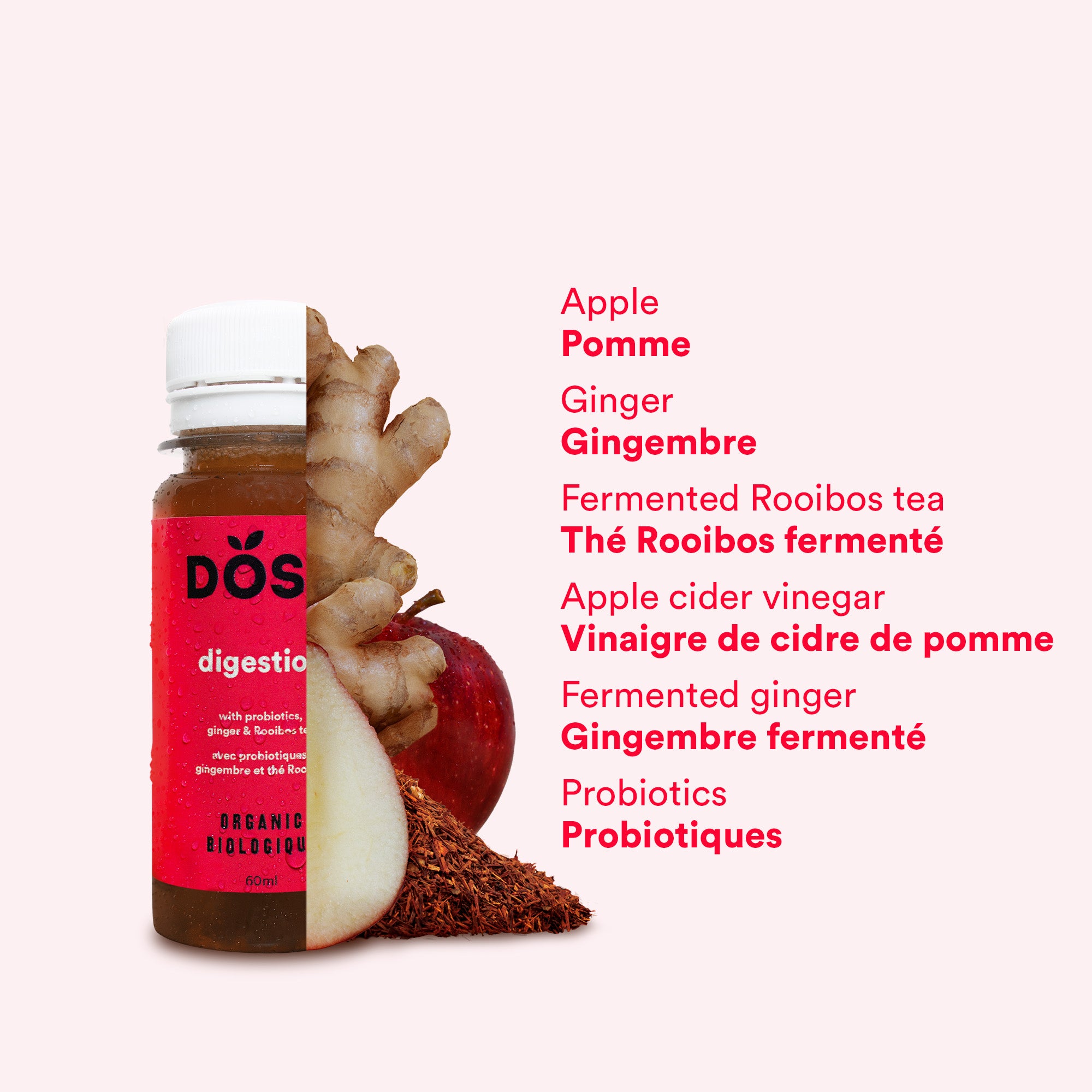 GINGER &amp; PROBIOTICS 60 ml- Organic cold pressed shot