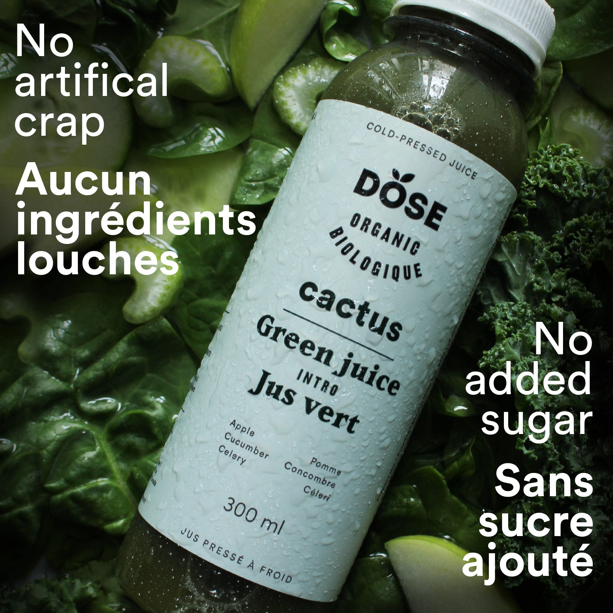 CACTUS – 10 organic cold-pressed juices
