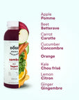 BEET JUICE PACK - SAMBA - 10 Organic cold-pressed beet juices 300ml